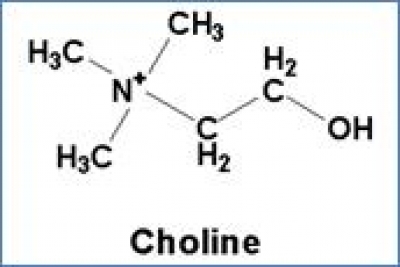 Choline là gì? Một chất dinh dưỡng thiết yếu với nhiều lợi ích