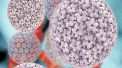 Những điều cần biết về virus HPV